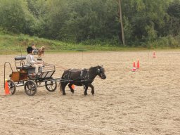img_9510_web